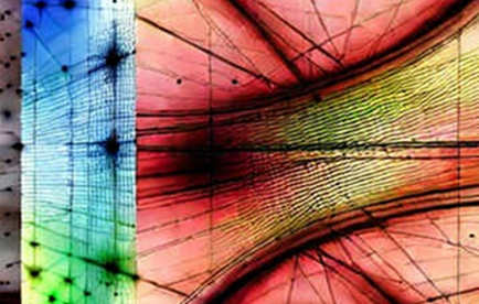 The Silence of Empty Data: Why the Market's Loudest Signal Is Often the Absence of Information
