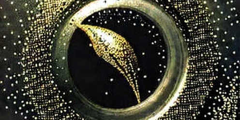 The OKX Semi-Annual Report: A Signal, Not a Summary