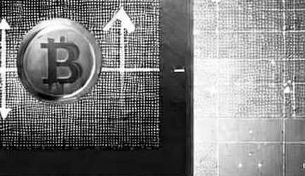 The Profit Mirage: Why Record Crypto Revenues Mask a Dangerous Concentration Risk