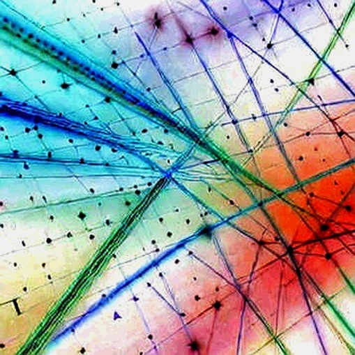 When Two Crypto CEOs Say Fundamentals Beat Prices, the Thesis Is Built to Survive Anything When Two Crypto CEOs Say Fundamentals Beat Prices, the Thesis Is Built to Survive Anything